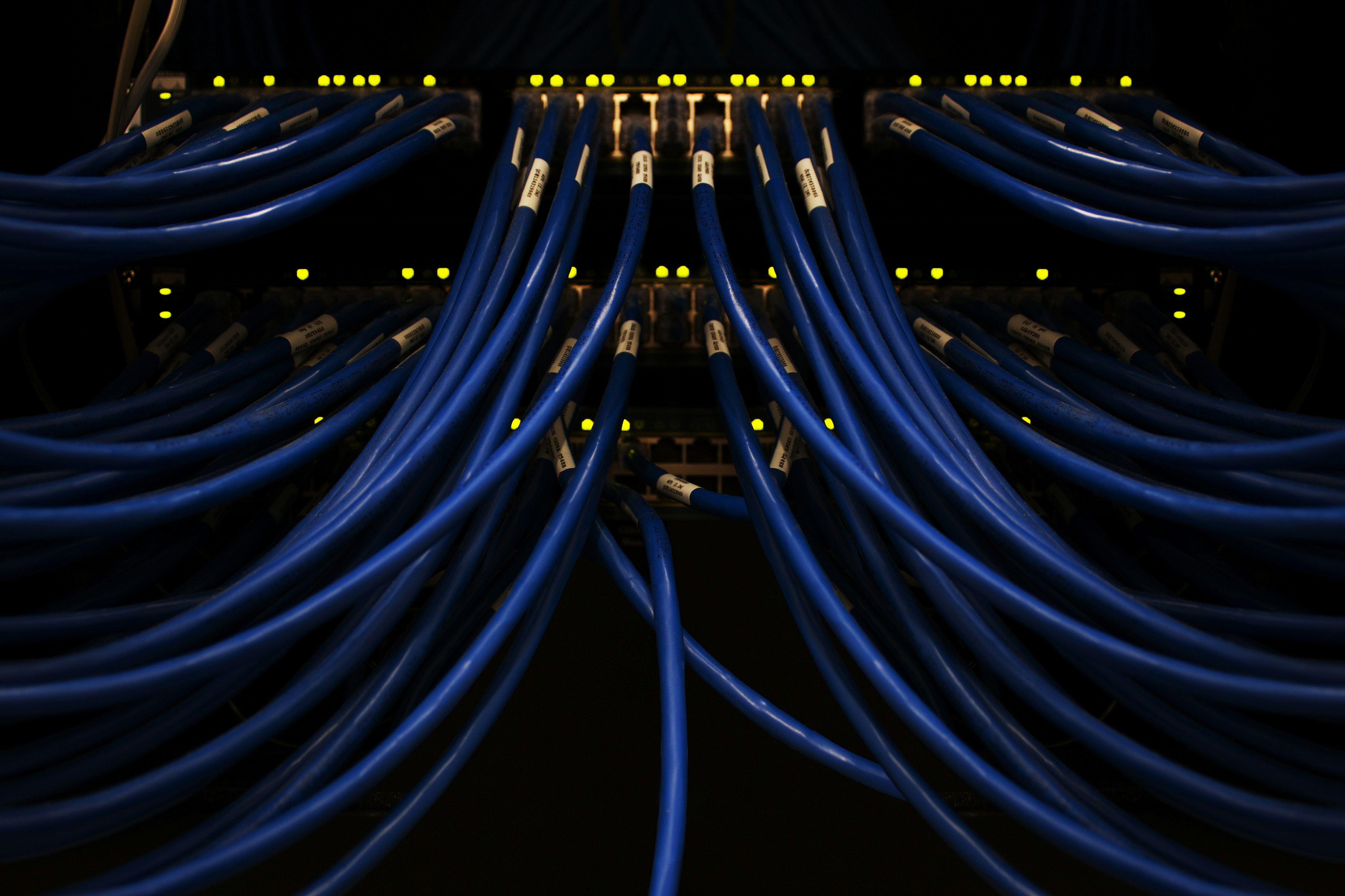 Server room patch panel with blue Ethernet cables and status LEDs